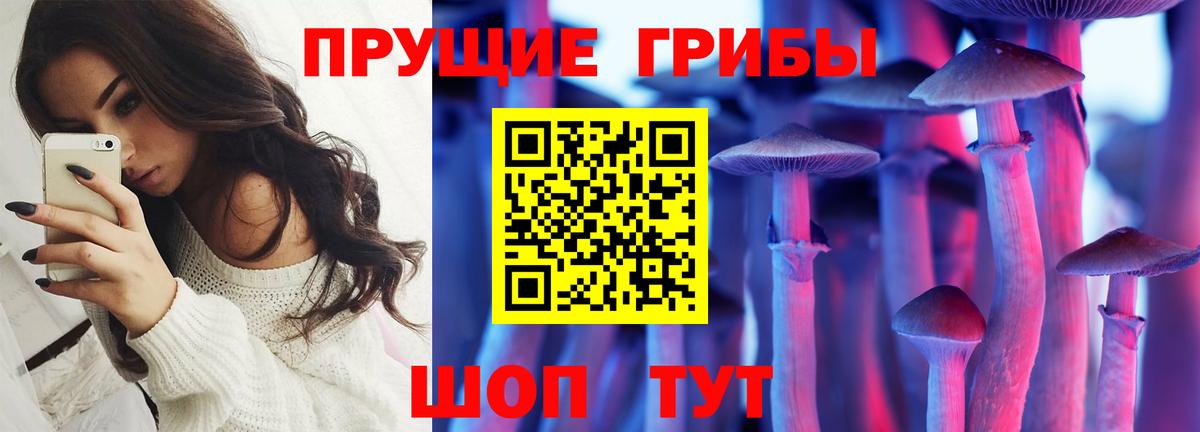 Псилоцибиновые грибы Cubensis  Галлюциногенные грибы MAGIC MUSHROOMS  Благодарный  Вход с VPN 